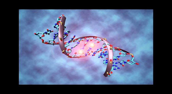 Embedded thumbnail for „Хюман дизайн: Книга на понятията“. Част 1.